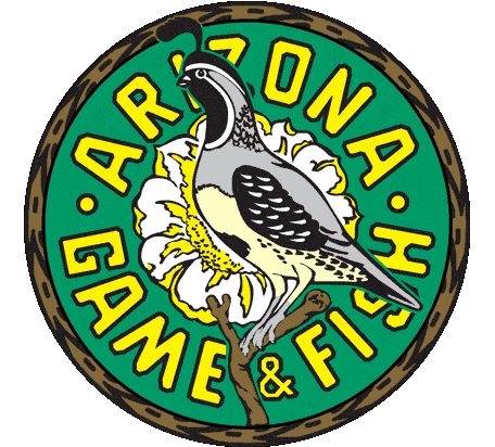 arizona-game-and-fish – Bison & Buffalo Hunts
