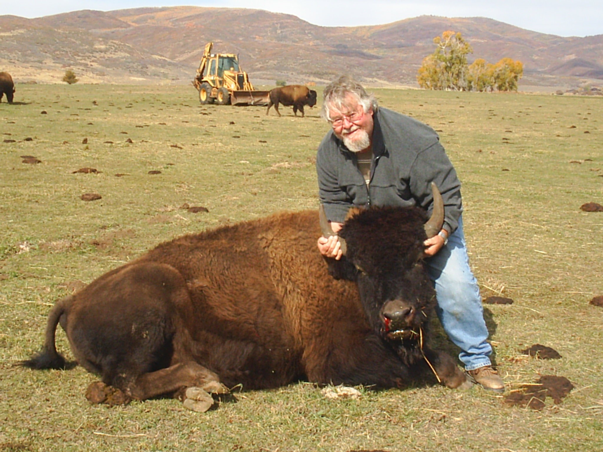 Hunter Holding Buffalo Head Up Hi Mountain Outfitting Bison & Buffalo