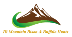 Hi Mountain Bison Logo
